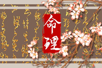 八字起名_四柱五行取名_起姓名免费取名_立即五行起名_赋取名女孩