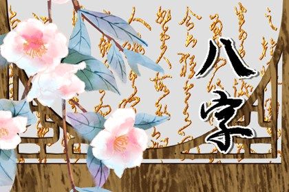 节气与排盘边界